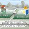 Puerto Real CF vs. Écija Balompié – DHS – Jornada 6 (Fase de Descenso)
