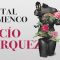 El Recital Flamenco de la cantaora Rocío Márquez llegará el domingo al Teatro Principal
