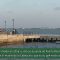 Verdes EQUO denuncia la «falta de compromiso de la Autoridad Portuaria con Puerto Real»