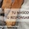 La Policía Local de Puerto Real impulsa la campaña «Tu mascota, tu responsabilidad»