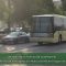 Aprobada la moción de Verdes EQUO respecto a la retirada de autobuses de Real y Teresa de Calcuta