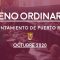 Pleno Ordinario – Ayuntamiento de Puerto Real – Octubre 2020
